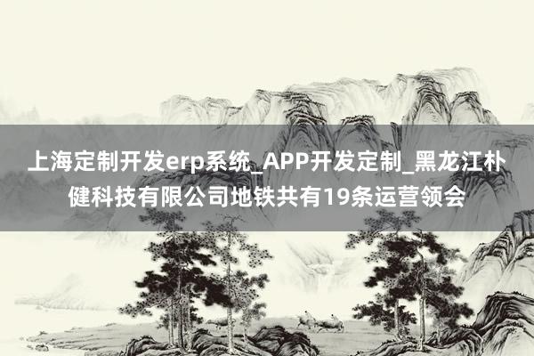上海定制开发erp系统_APP开发定制_黑龙江朴健科技有限公司地铁共有19条运营领会