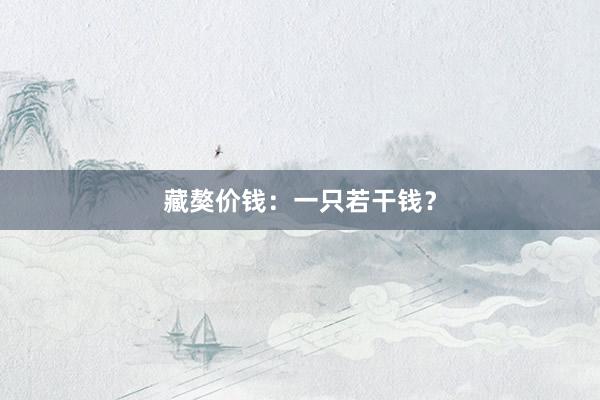 藏獒价钱：一只若干钱？
